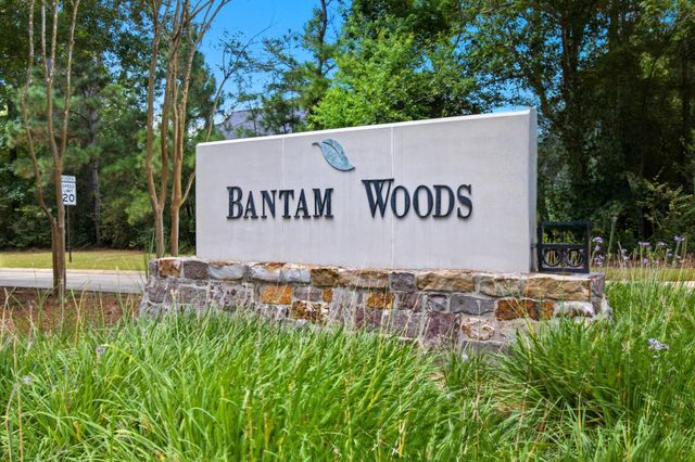 79 S Bantam Woods Circle, Spring, TX 77382