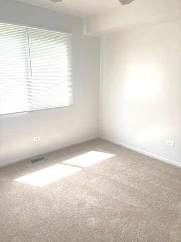 20114 Oak Lane U70, Lynwood, IL 60411