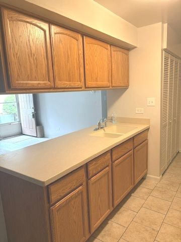20114 Oak Lane U70, Lynwood, IL 60411