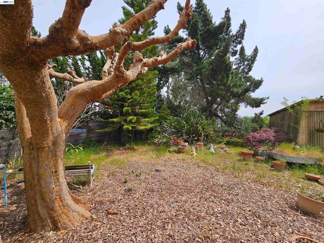 18758 Crane Ave, Castro Valley, CA 94546