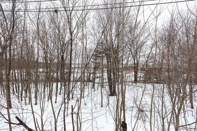 65 Clifford St 2, Boston, MA 02136