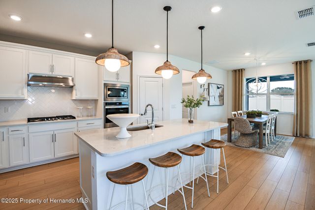 3709 OBSIDIAN Drive, Spring Hill, FL 34609