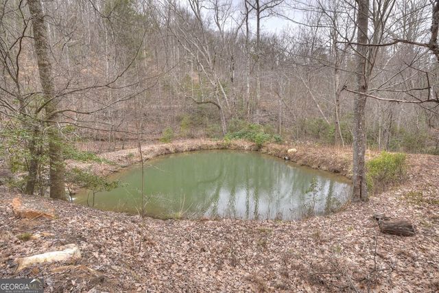 442 N Burgess Gap Road, Morganton, GA 30560