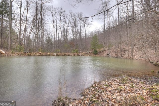 442 N Burgess Gap Road, Morganton, GA 30560