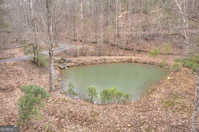 442 N Burgess Gap Road, Morganton, GA 30560