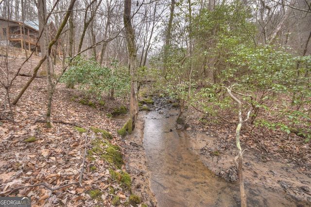 442 N Burgess Gap Road, Morganton, GA 30560