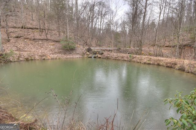 442 N Burgess Gap Road, Morganton, GA 30560