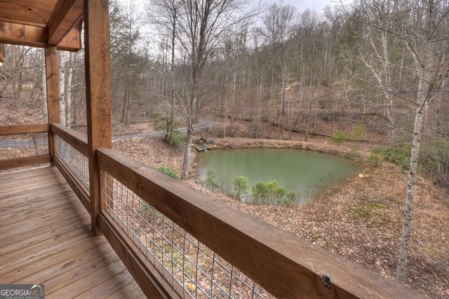 442 N Burgess Gap Road, Morganton, GA 30560