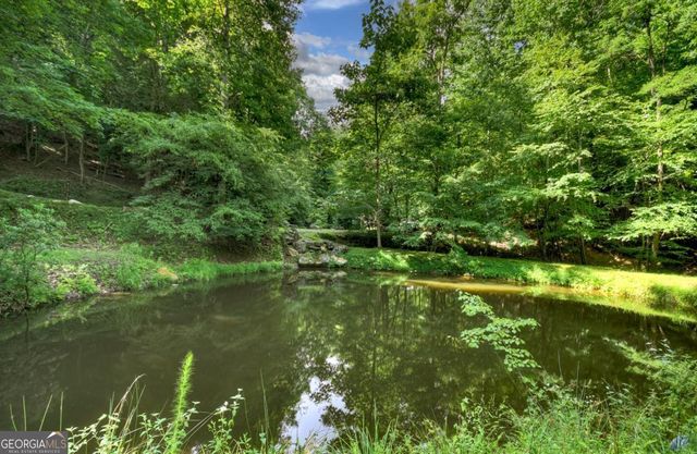 442 N Burgess Gap Road, Morganton, GA 30560