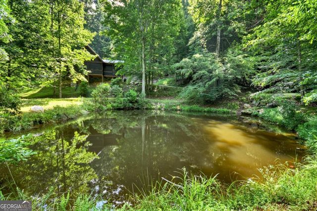 442 N Burgess Gap Road, Morganton, GA 30560