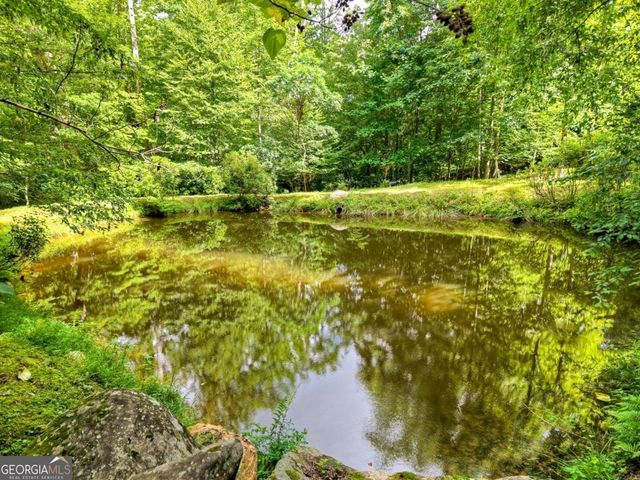 442 N Burgess Gap Road, Morganton, GA 30560