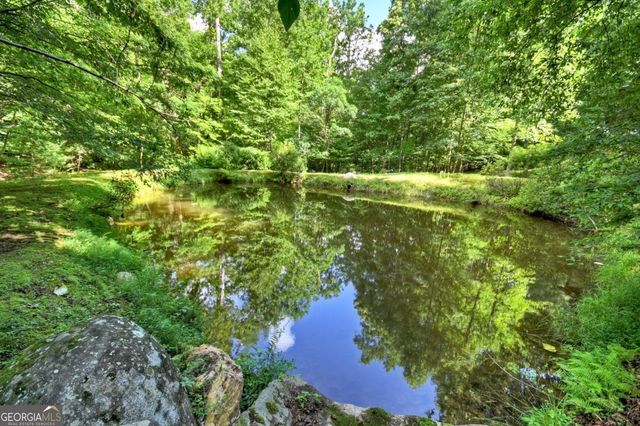 442 N Burgess Gap Road, Morganton, GA 30560