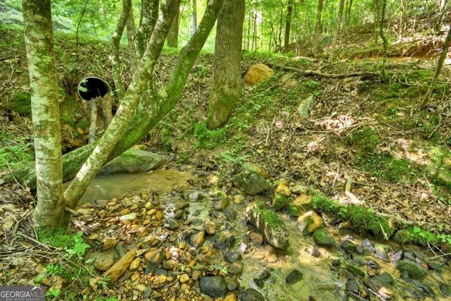 442 N Burgess Gap Road, Morganton, GA 30560