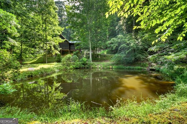 442 N Burgess Gap Road, Morganton, GA 30560