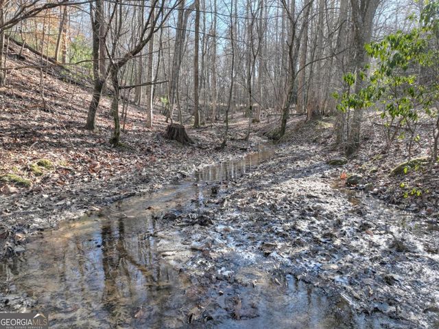 442 N Burgess Gap Road, Morganton, GA 30560