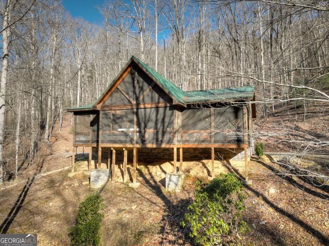 442 N Burgess Gap Road, Morganton, GA 30560