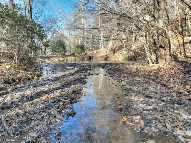 442 N Burgess Gap Road, Morganton, GA 30560