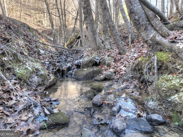 442 N Burgess Gap Road, Morganton, GA 30560