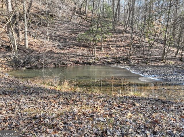 442 N Burgess Gap Road, Morganton, GA 30560