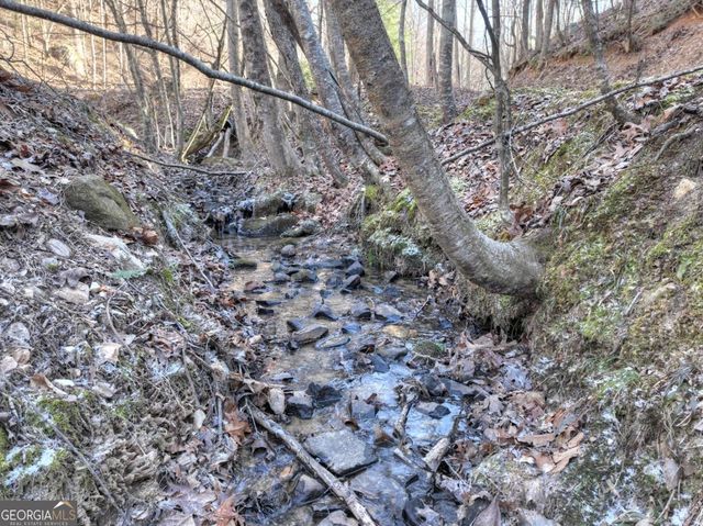 442 N Burgess Gap Road, Morganton, GA 30560