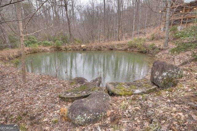 442 N Burgess Gap Road, Morganton, GA 30560