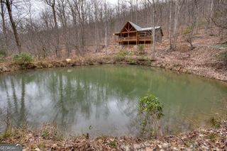 442 N Burgess Gap Road, Morganton, GA 30560