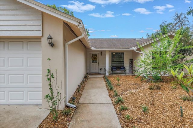 4806 COUNTRY HILLS DRIVE, Tampa, FL 33624