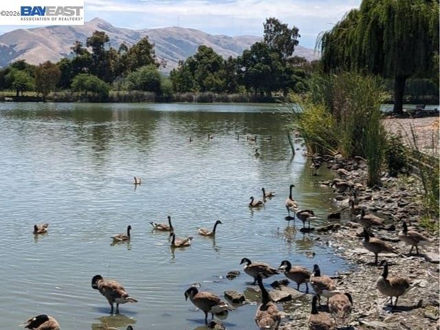 40071 Leslie St, Fremont, CA 94538
