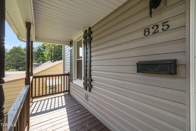825 Hamilton Street, Johnson City, TN 37604