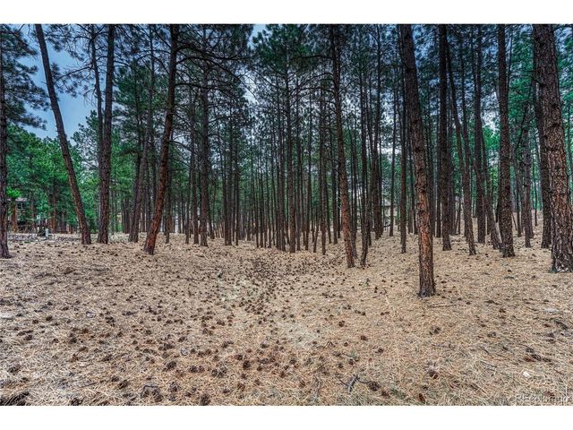 15585 Falcon Ridge Ct, Colorado Springs, CO 80921