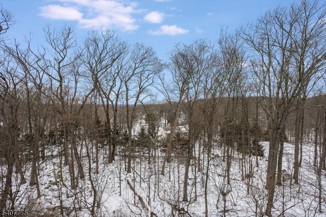 133 Ridgeview Ln 133, Mount Arlington Boro, NJ 07856