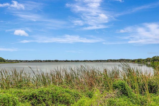 6818 WATERTON DRIVE, Riverview, FL 33578