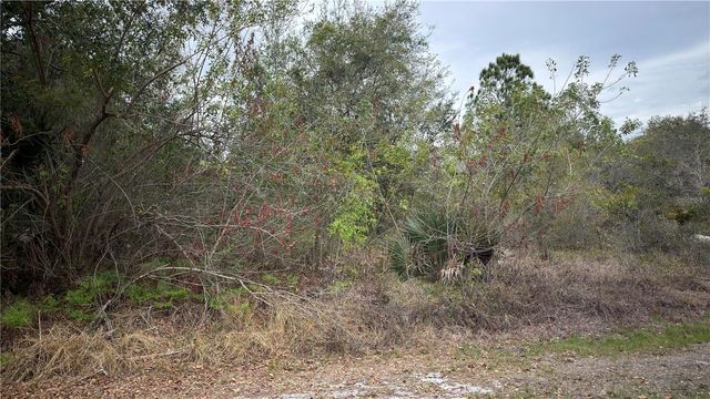 336 PERSHING AVENUE, Lake Placid, FL 33852