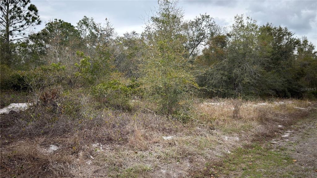 336 PERSHING AVENUE, Lake Placid, FL 33852