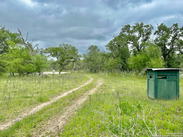 369.4 AC CR 7711, Devine, TX 78016
