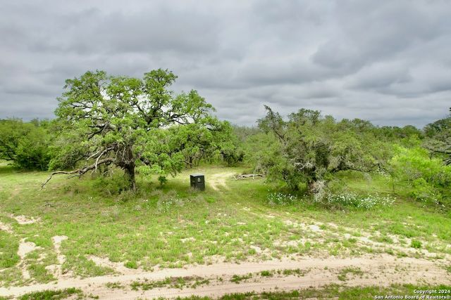 369.4 AC CR 7711, Devine, TX 78016