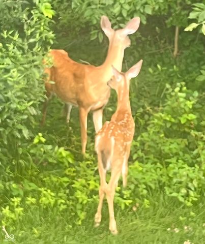 11764 Whisperwood Way, Fishers, IN 46037