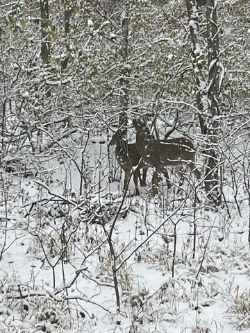 11764 Whisperwood Way, Fishers, IN 46037