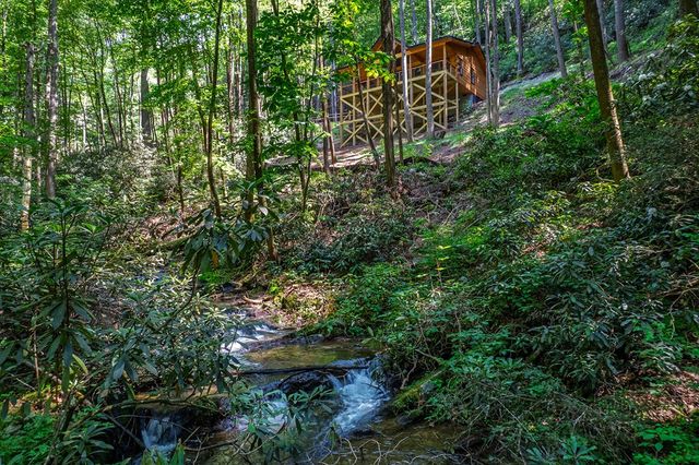 122 Laurel Creek Drive, Cherry Log, GA 30522