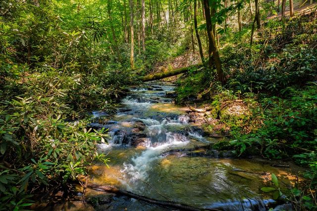 122 Laurel Creek Drive, Cherry Log, GA 30522