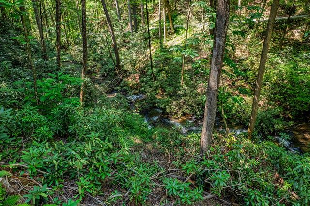 122 Laurel Creek Drive, Cherry Log, GA 30522