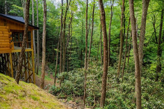 122 Laurel Creek Drive, Cherry Log, GA 30522