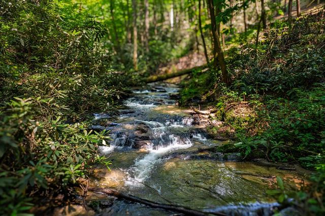 122 Laurel Creek Drive, Cherry Log, GA 30522