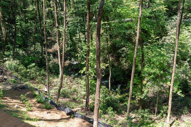 122 Laurel Creek Drive, Cherry Log, GA 30522