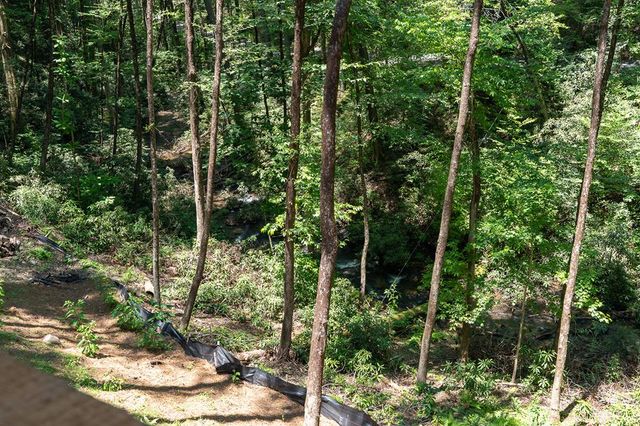 122 Laurel Creek Drive, Cherry Log, GA 30522