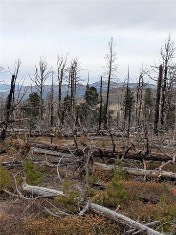 Lot 2301 Wohlstetter Loop, Fort Garland, CO 81133
