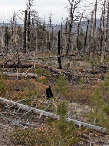 Lot 2301 Wohlstetter Loop, Fort Garland, CO 81133