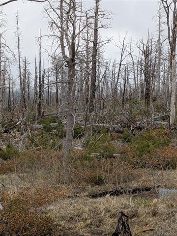 Lot 2301 Wohlstetter Loop, Fort Garland, CO 81133