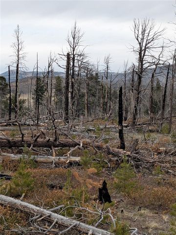 Lot 2301 Wohlstetter Loop, Fort Garland, CO 81133