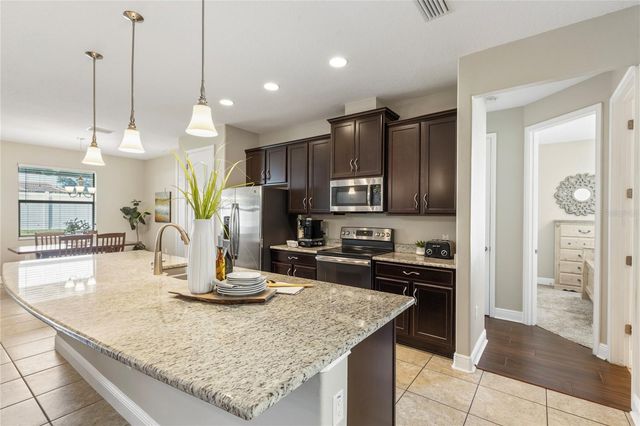 11020 BRAHMAN RANCH CIRCLE, Riverview, FL 33578